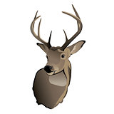 Trophy Whitetail Deer Buck