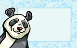 Funny panda