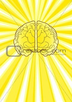 Bright Brain