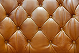 Sepia of genuine leather upholstery