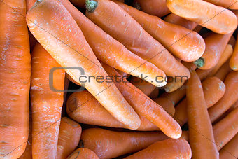 Carrots Closeup Background