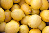 Yellow Lemon Ftuis Background