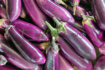 Eggplant Vegetable Background