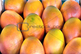 Grove Grown Mangoes Closeup