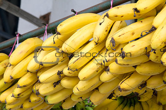 Bunches of Yellow Bananas