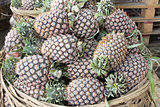 Pineapples Piled in Basket