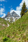 Alpine view (Vorarlberg,Austria)