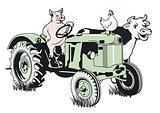 Pig on the tractor
