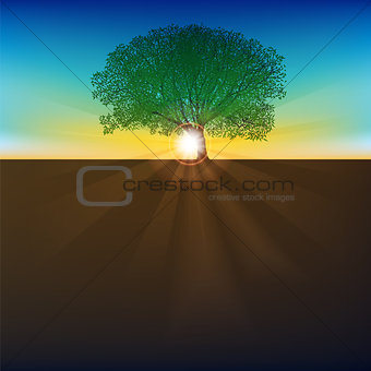 abstract Nature background with sunrise