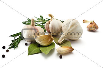 Garlic and rosemary and bay leaf isolated on white background