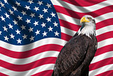 USA Flag with bald eagle