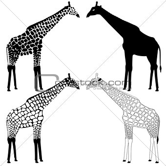 Giraffe silhouettes collection