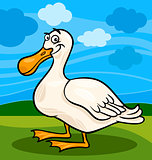 duck bird farm animal cartoon illustration