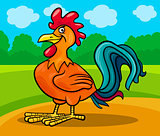 rooster farm animal cartoon illustration