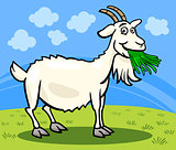 goat farm animal cartoon illustration