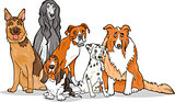 cute purebred dogs group cartoon illustration