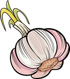 garlic vegetable cartoon illustration
