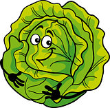 cute cabbage vegetable cartoon illustration