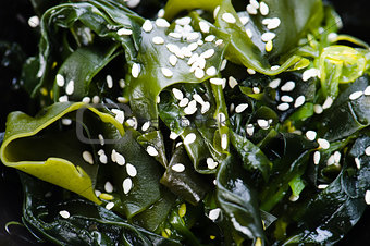 Japan Salad from Seaweed with Sesame