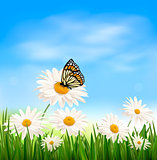 Nature background with green grass and butterfly