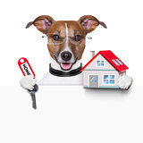 banner dog home and key