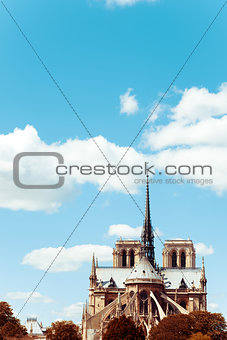 Notre Dame Cathedral in paris