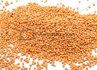 Expanse of whole mustard seeds