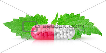 Tablet with mint leaves