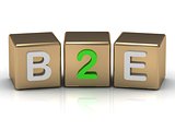 B2E Business to Employee symbol on gold cubes
