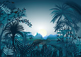 Night in the tropical rainforest