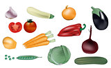Vegetables vector illustration
