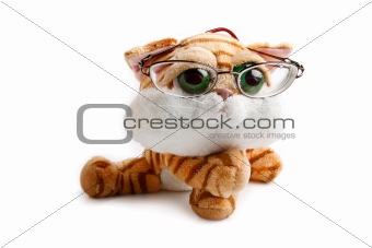 Funny looking cat toy with glasses