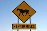 Horse Crossing Next 10 Miles