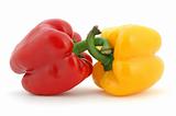 Red and yellow pepper