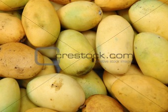 Mango background