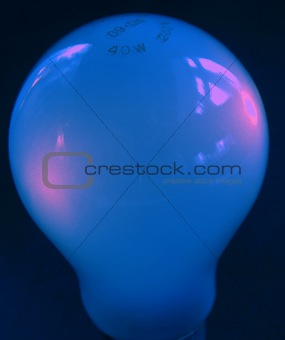 blue  bulb