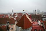 Cloudy view on old city of Tallinn. Estonia