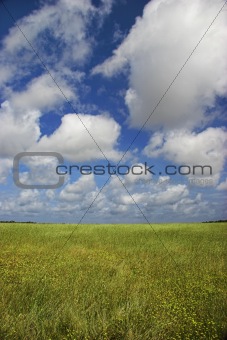 Couds over a green landscape