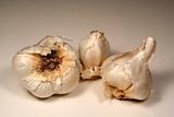 Three Garlic Cloves
