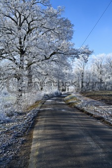Winter landscape an icy road 