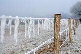 Winter landscape barbed wire full of ice
