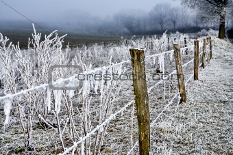Winter landscape icy barbed wire