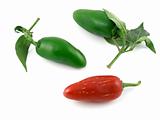 Red & green jalapeno peppers