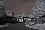 Infrared photo – tree and chinese building inside the bonsai gardens
