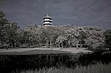 Infrared photo – pagoda, lake and reflection in the parks