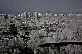 Infrared photo – building, lake, house and tree in the parks