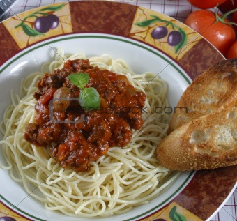 pasta dish with elk meat sauce