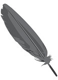 Feather