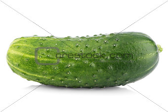 Single cucumber isolated on white