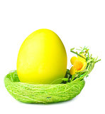 Easter egg in nest